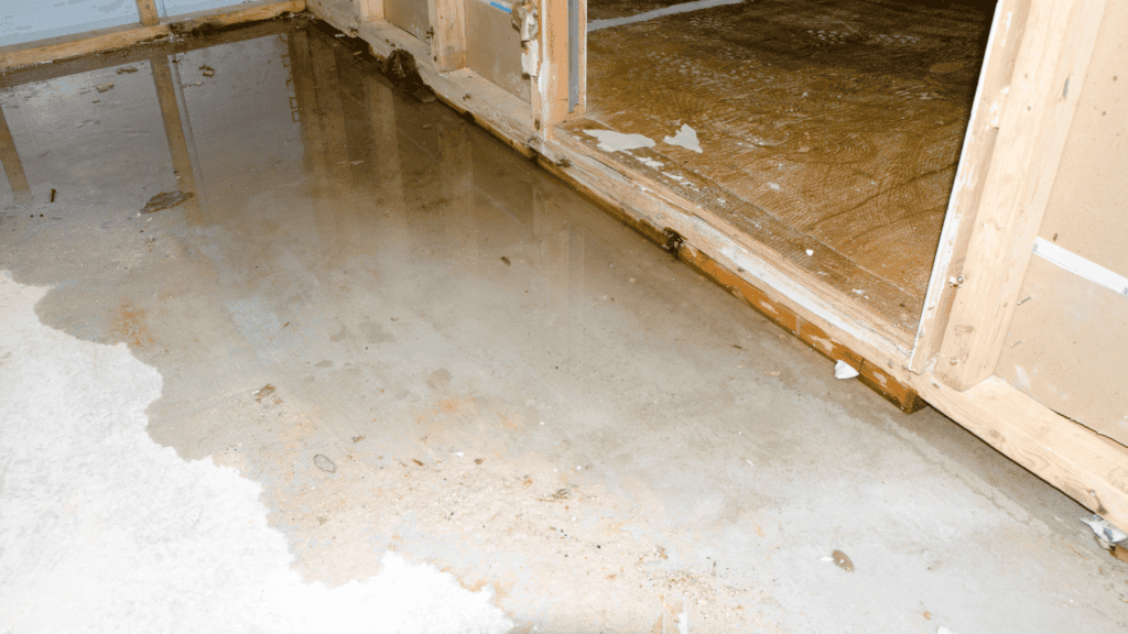 basement water damage repair lexington ky